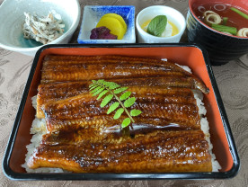 うな重 </span>追加1600円(デザートは日替わり)