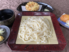 ざるうどん </span>追加なし